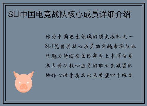 SLI中国电竞战队核心成员详细介绍